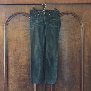 AG Adriano Goldschmied Gray “Stilt” Skinny Jeans